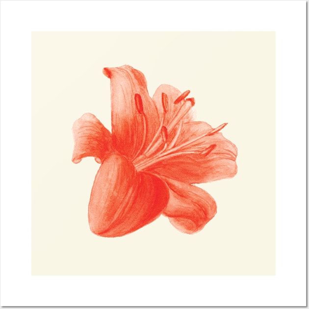 Red Lily Flower Wall Art by VeraAlmeida